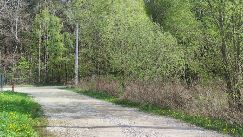 Działka Sprzedaż Wyględy